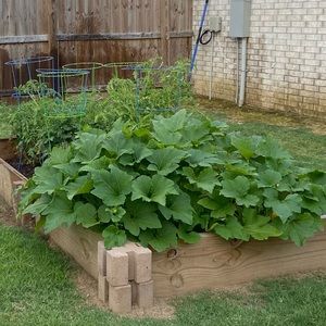 Meet your Posher, Chelsey